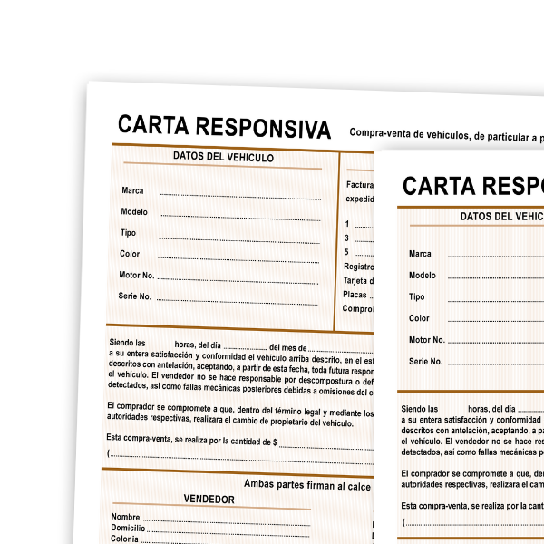 CARTA RESPONSIVA 1056CR25 SEGURIDAD 25H. E.3 C.102